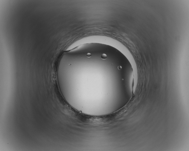 X0000111840419200908131423