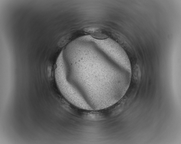 X0000111840420200908131423