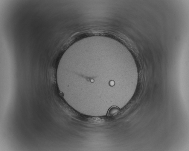 X0000111840421200908131423