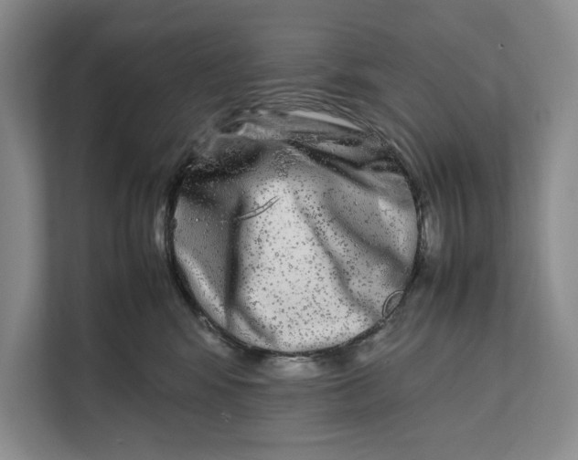 X0000111840424200908131422