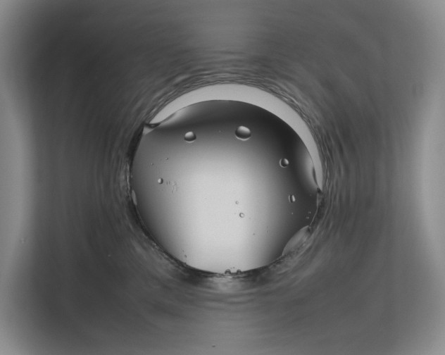 X0000111840425200908131422