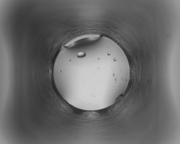 X0000111840427200908131422