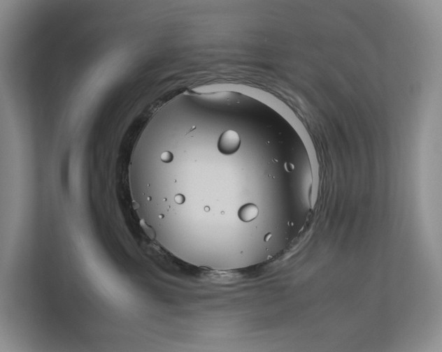 X0000111840429200908131422