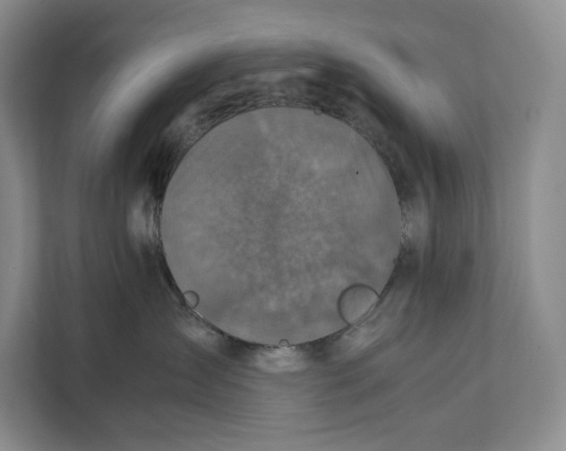 X0000111840431200908131422