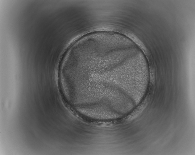 X0000111840434200908131422