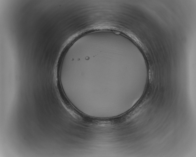 X0000111840438200908131422