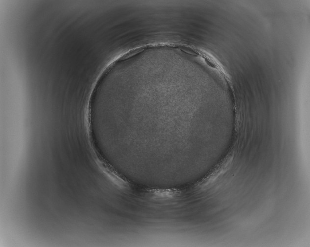 X0000111840439200908131422