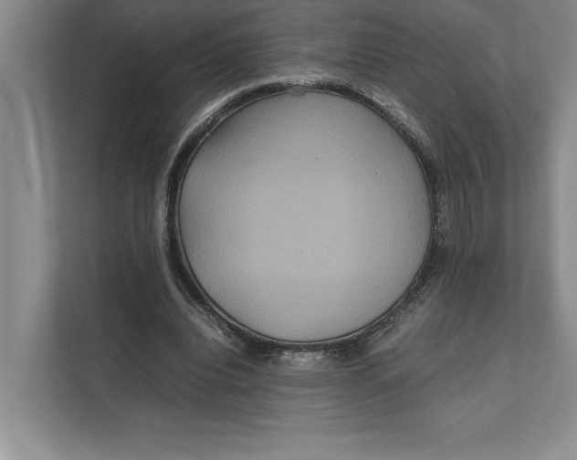 X0000111840440200908131422