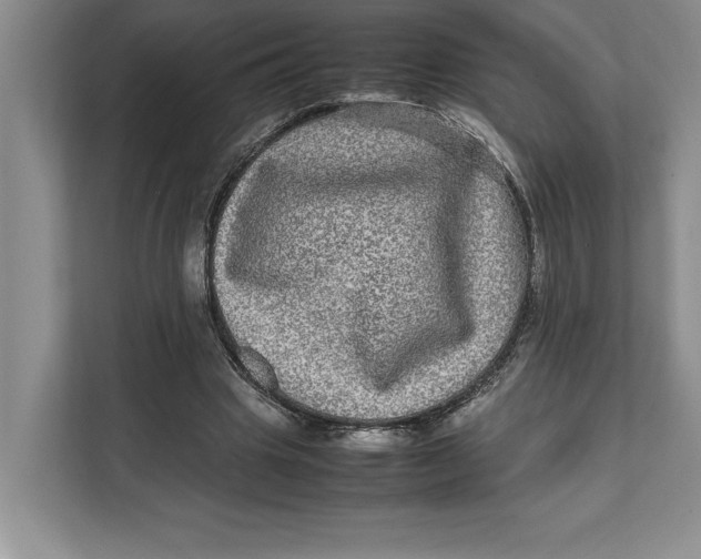 X0000111840441200908131422