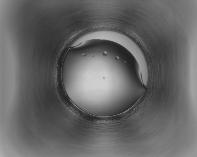 X0000111840444200908131422