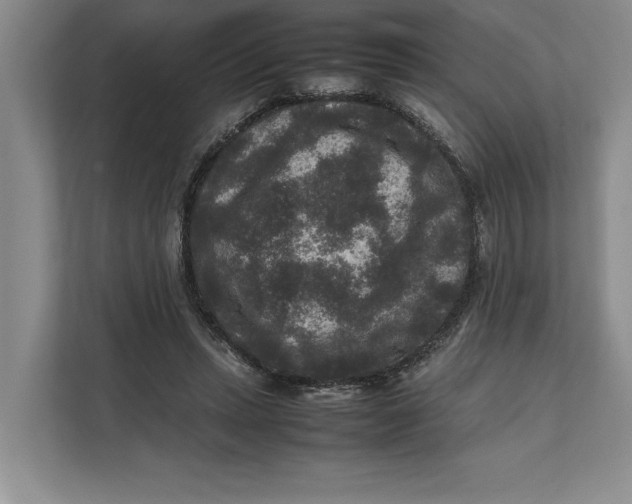 X0000111840447200908131422