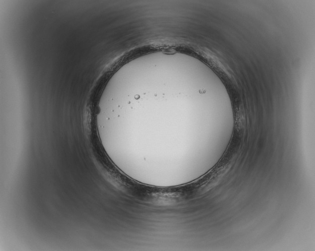 X0000111840448200908131422