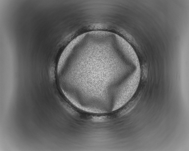 X0000111840450200908131422