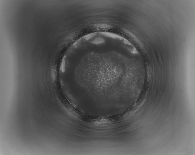 X0000111840451200908131422