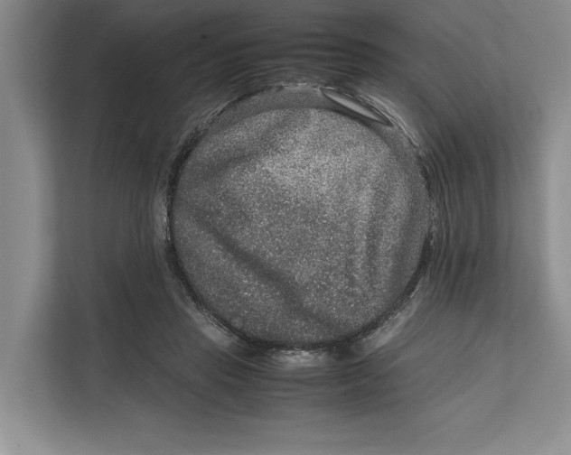 X0000111840453200908131422