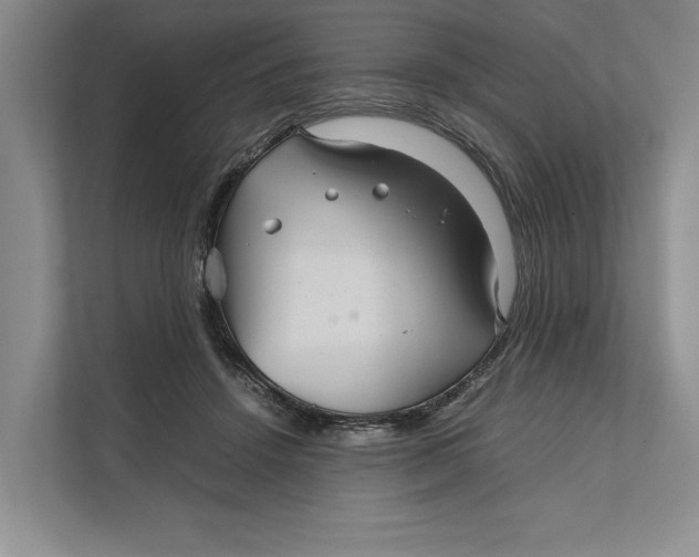 X0000111840456200908131422