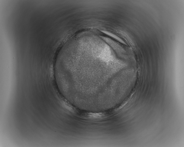 X0000111840457200908131422