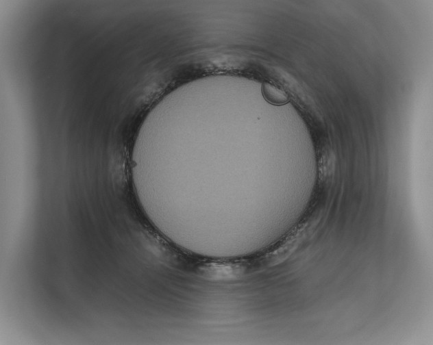 X0000111840464200908131422