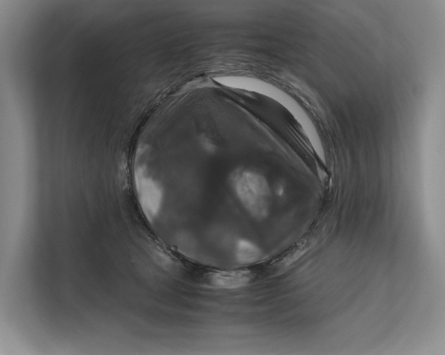 X0000111840465200908131422