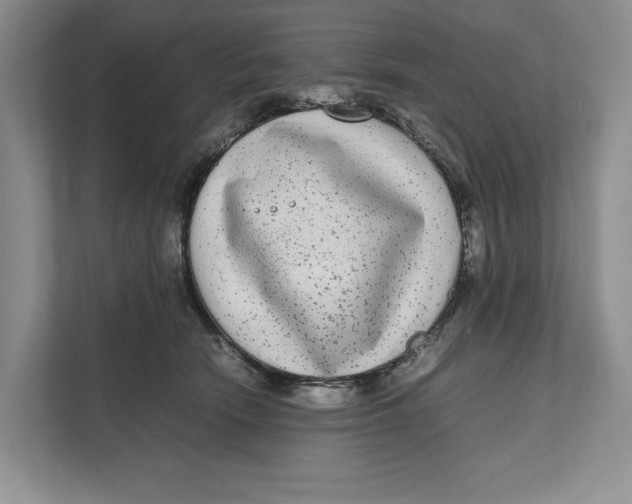 X0000111840466200908131422