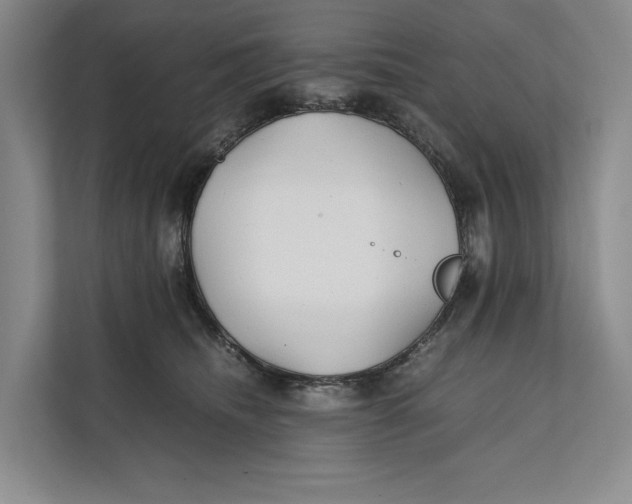 X0000111840468200908131422