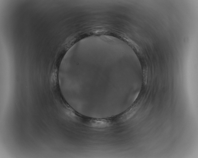 X0000111840475200908131422