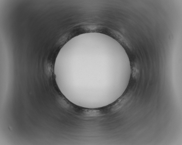 X0000111840476200908131422