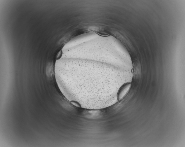 X0000111840478200908131422