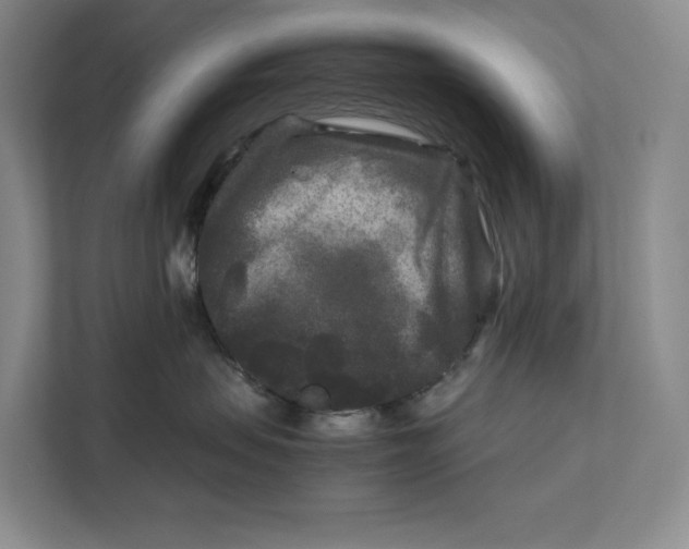 X0000111840479200908131422