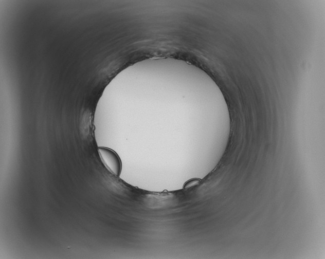 X0000111840480200908131422