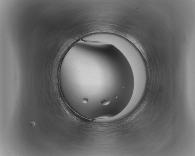 X0000111840481200908131422