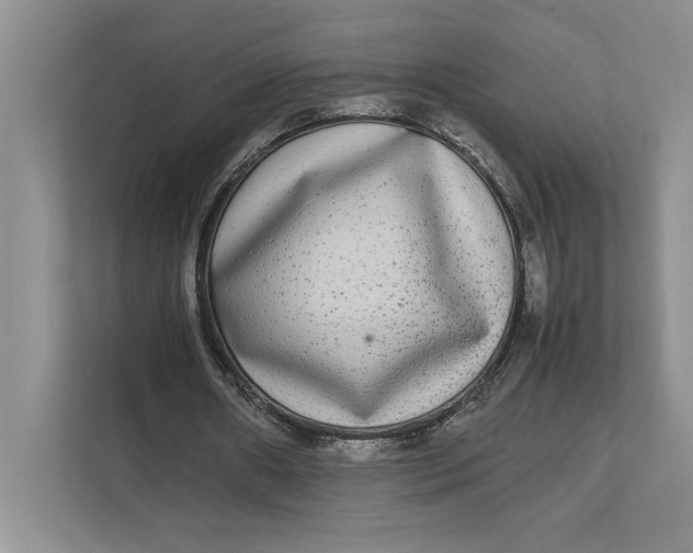 X0000111840482200908131422