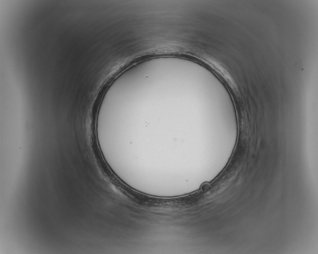 X0000111840485200908131422