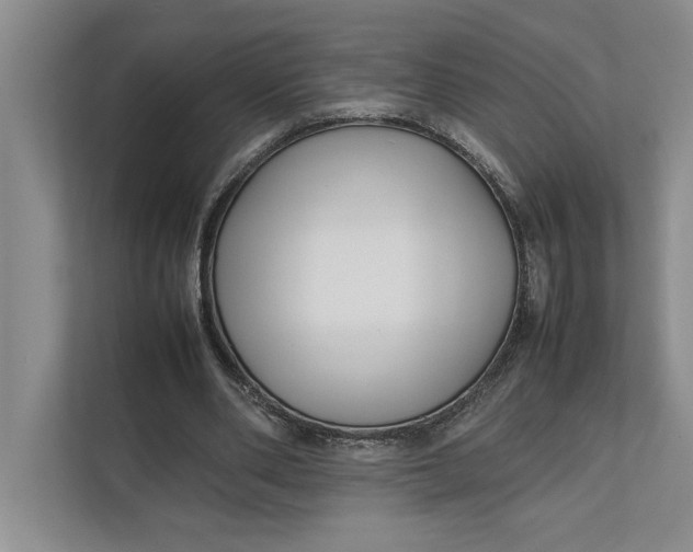 X0000111840486200908131422