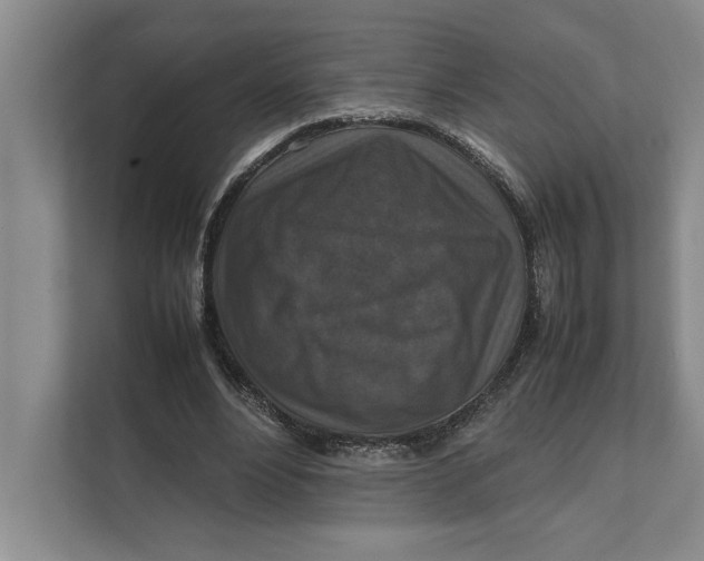 X0000111840488200908131422