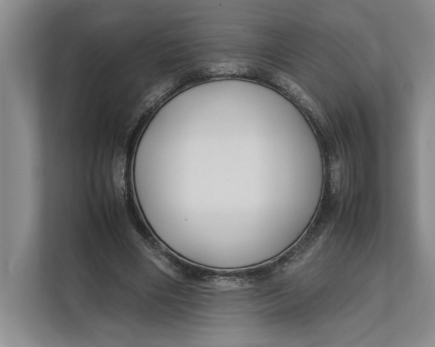 X0000111840490200908131422