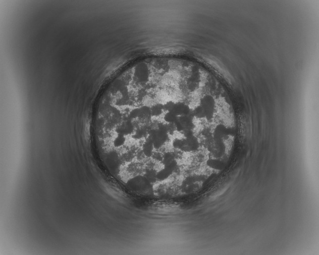 X0000111840491200908131422