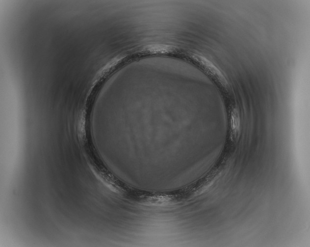 X0000111840492200908131422