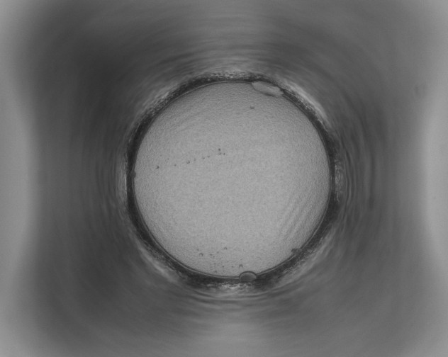 X0000111840493200908131422