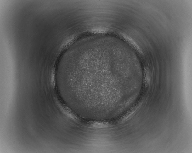 X0000111840494200908131422