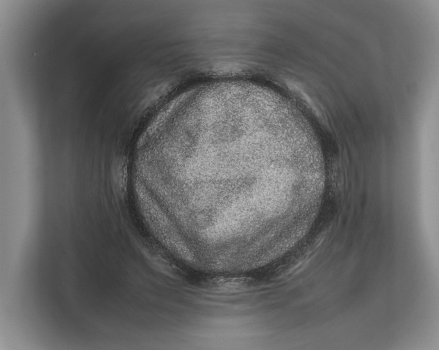 X0000111840495200908131422