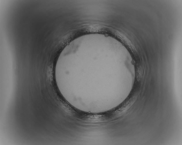 X0000111840497200908131422