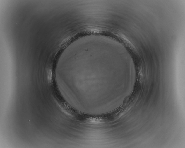 X0000111840500200908131422