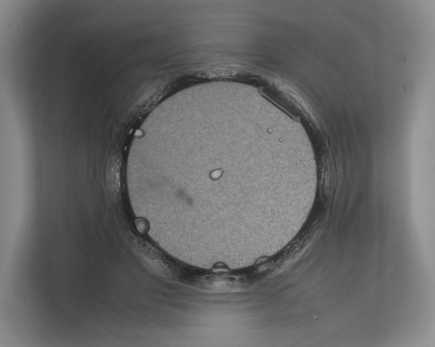 X0000111840501200908131421