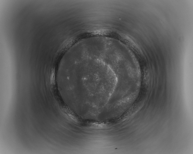 X0000111840502200908131421