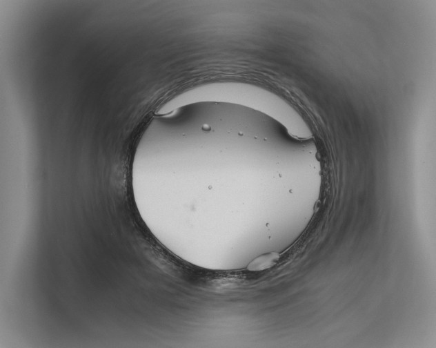 X0000111840505200908131421