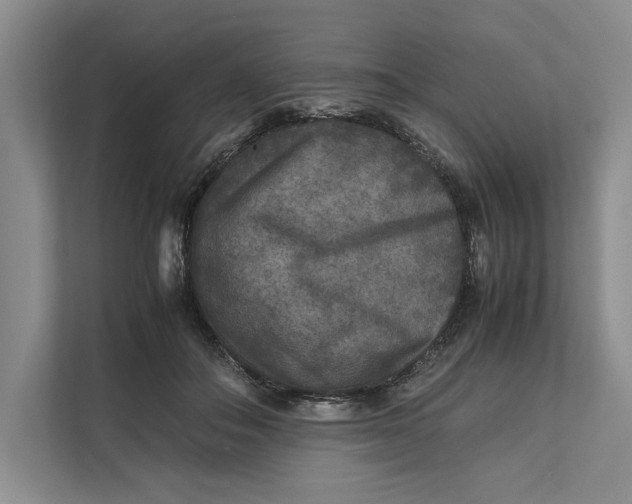 X0000111840506200908131421