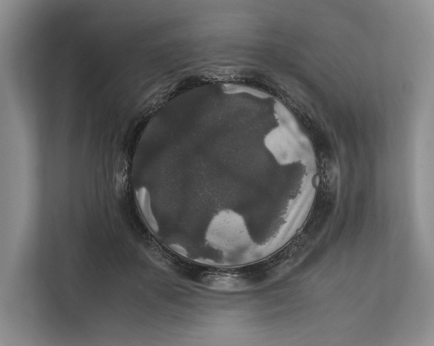 X0000111840507200908131421