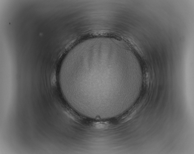 X0000111840508200908131421