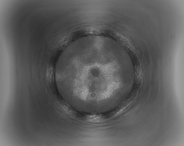 X0000111840511200908131421